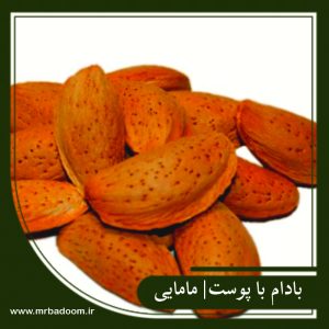 با پوست مامایی