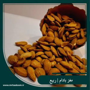 مغز بادام ربیع