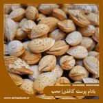 بادام پوست کاغذی محب | محصول شهر سامان