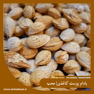 بادام پوست کاغذی محب | محصول شهر سامان