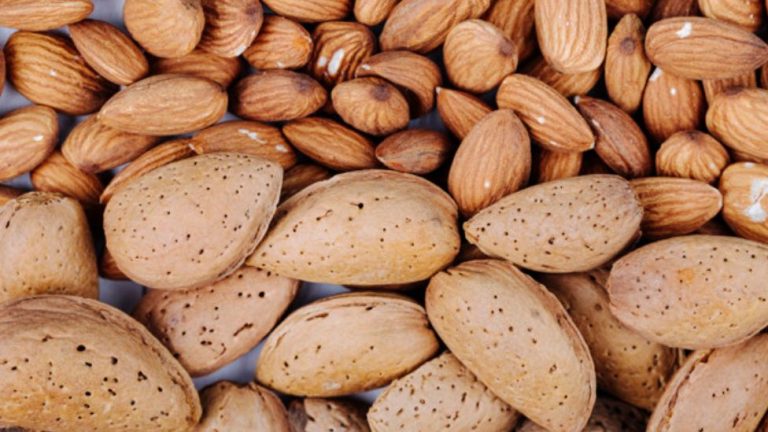 تفاوت‌های کلیدی بادام مامایی و بادام سفته